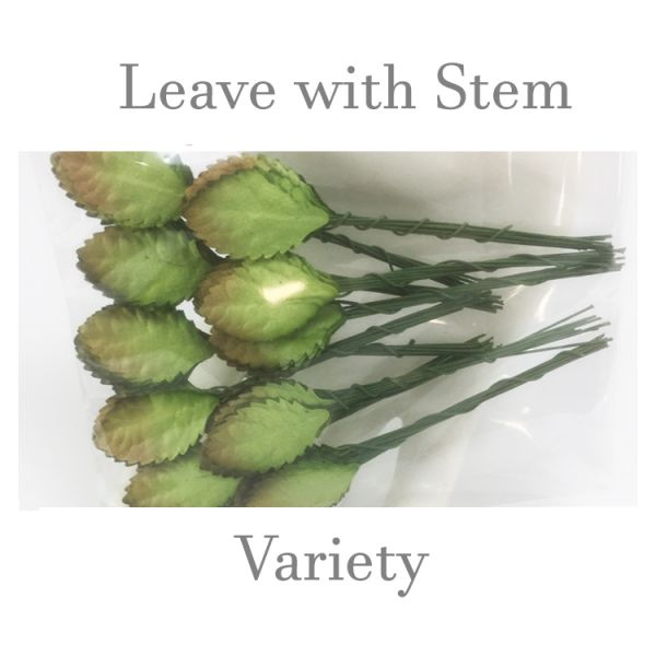 Leave with stem